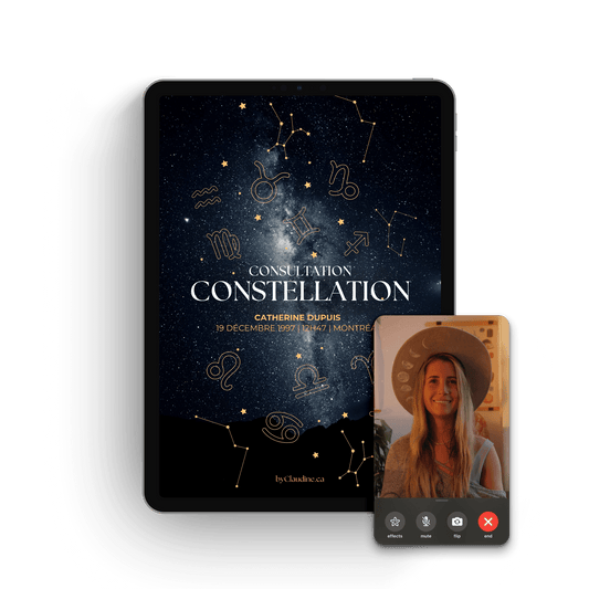 Video Conference + Customized Document